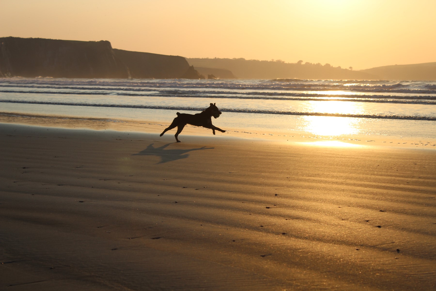 Dog Friendly Holiday Cottages In Wales Coastal Cottages Of