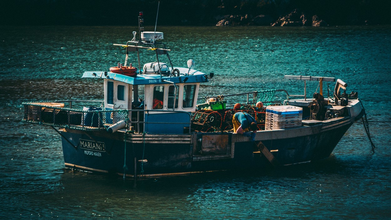 the-best-places-to-buy-fresh-fish-coastal-cottages-of-pembrokeshire-uk