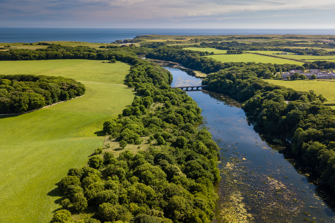 Dog-friendly walk: Bosherston Lily Ponds & St Govans